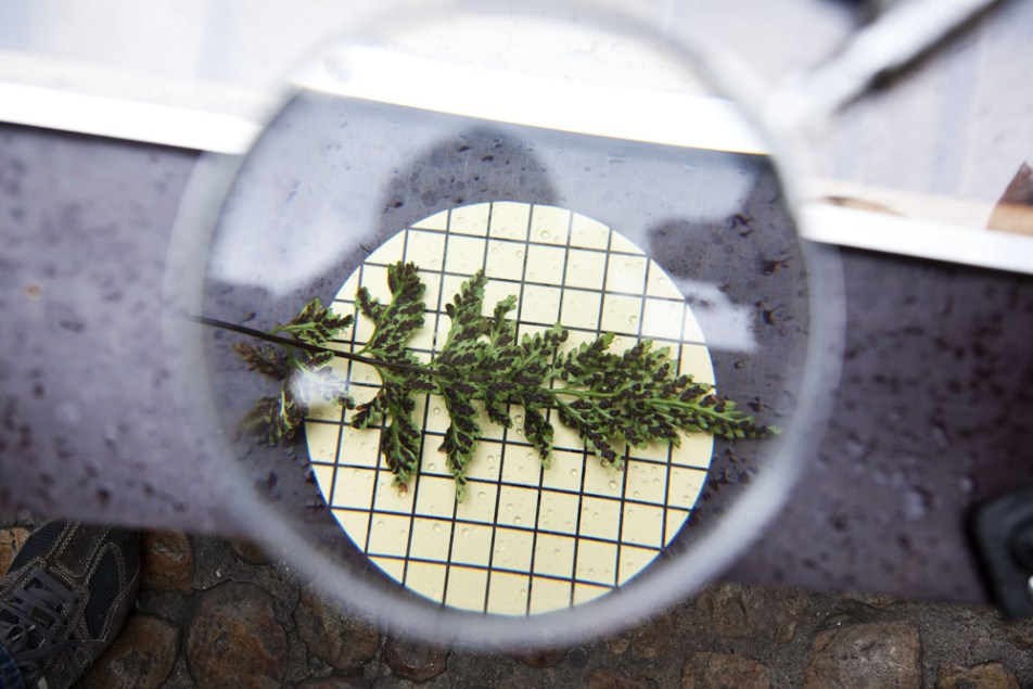 20140322_Panacee_012