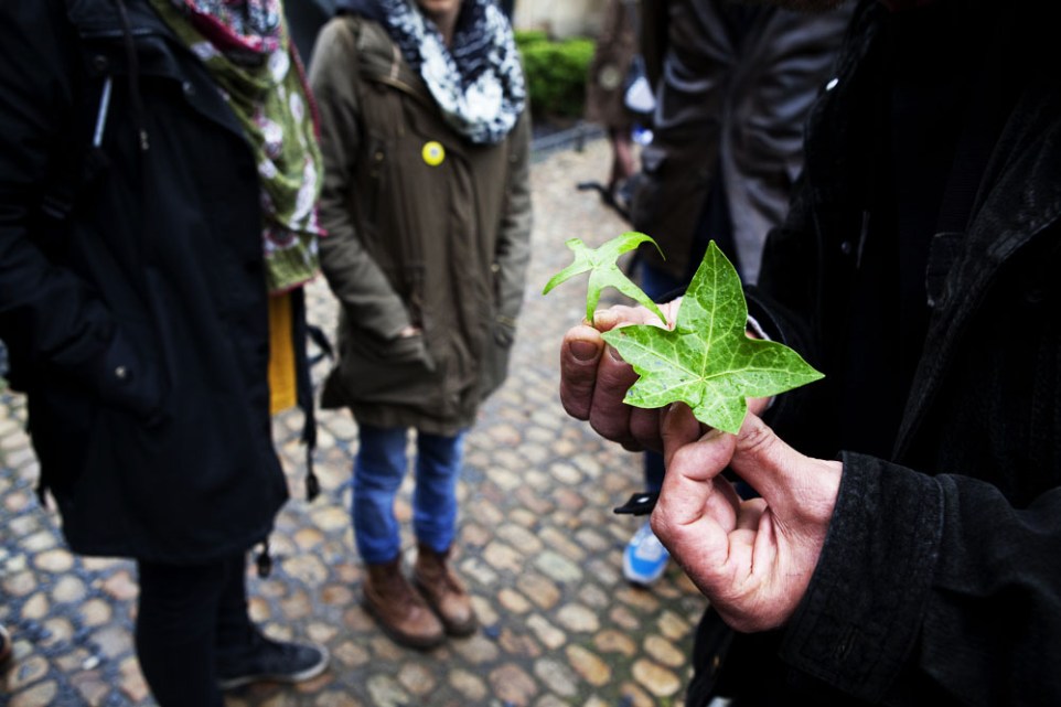 20140322_Panacee_013