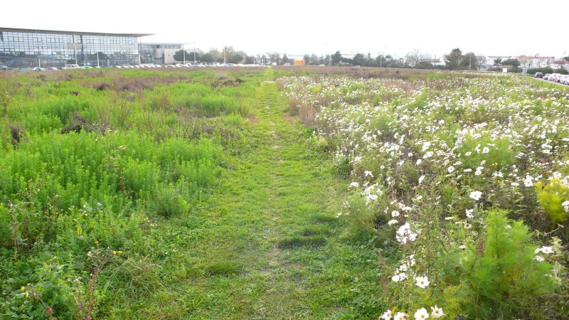 711ddaecc7b6aecca1a1f864b0e99344