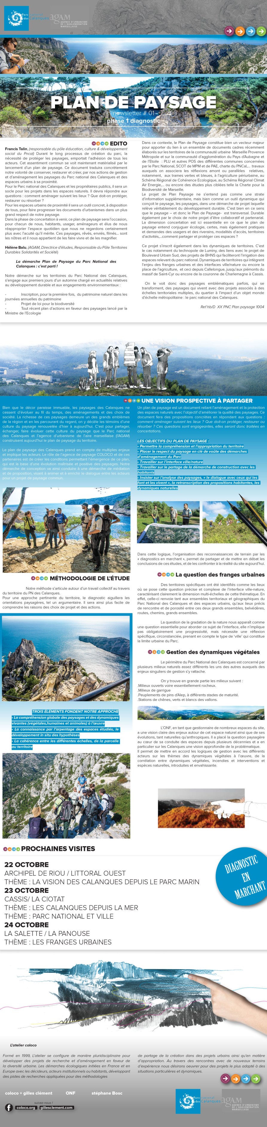 Newletter CAL-1 final