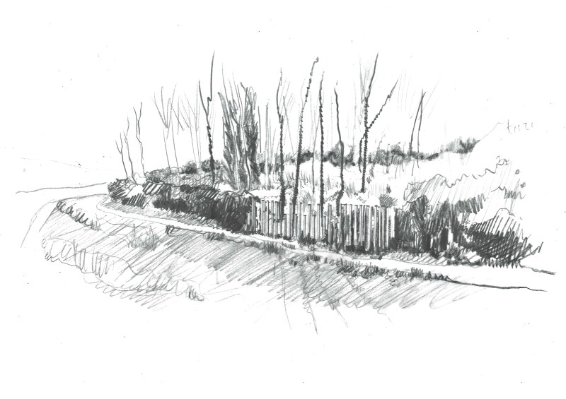 Peupleraie dessin copie