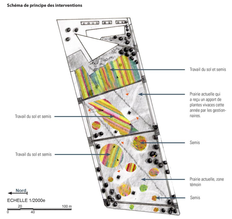 Schema de principe des interventions