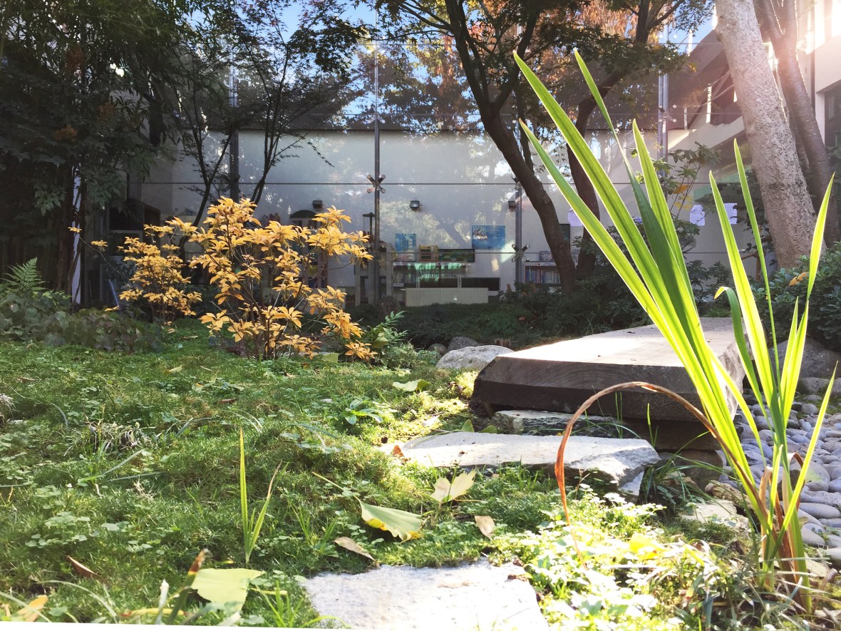 IMG_2720 copiinternete