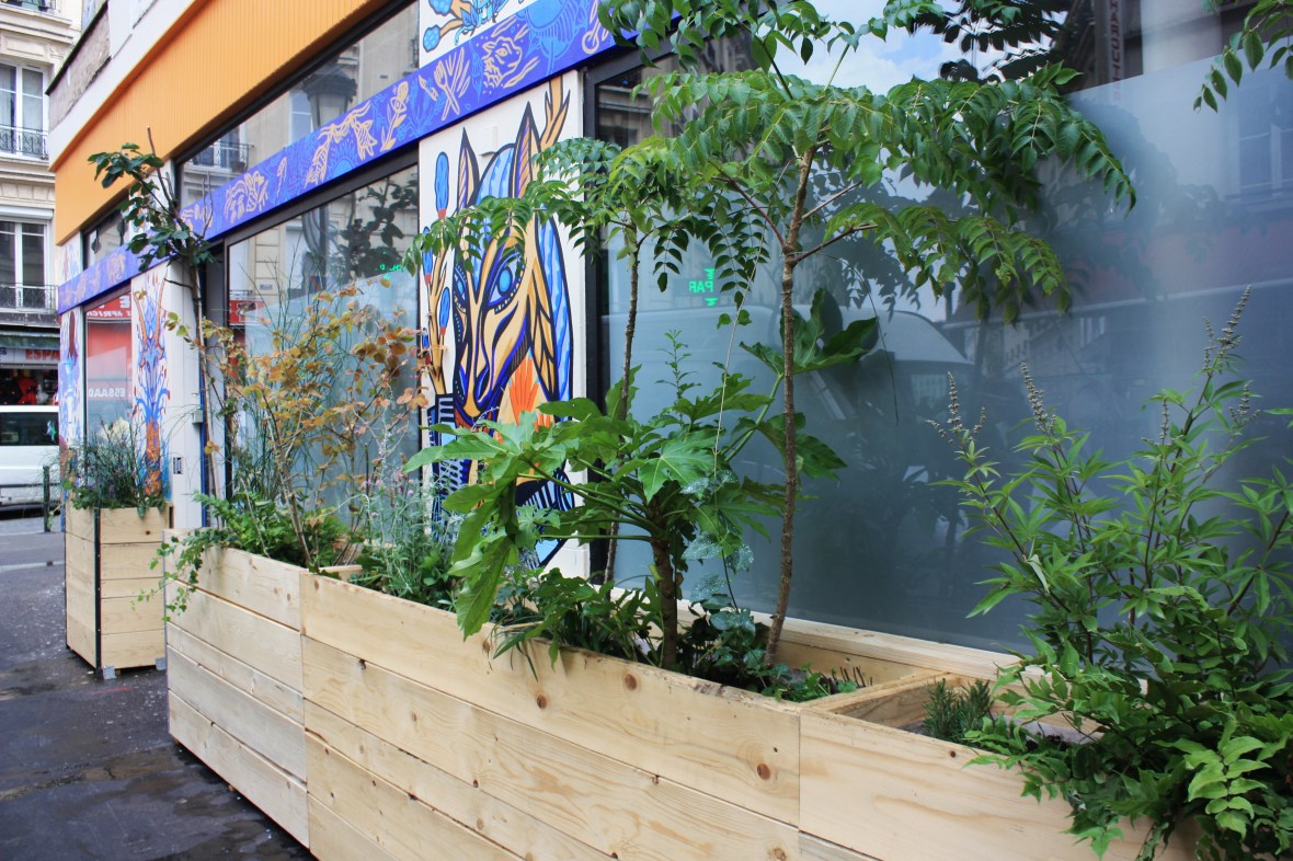 IMG_9857 copieinternet