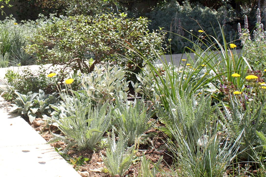 UNADJUSTEDNONRAW_thumb_a3c copie