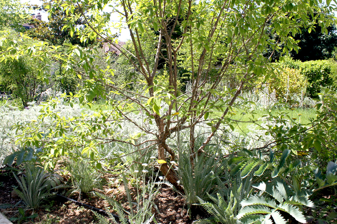 UNADJUSTEDNONRAW_thumb_a59 copie